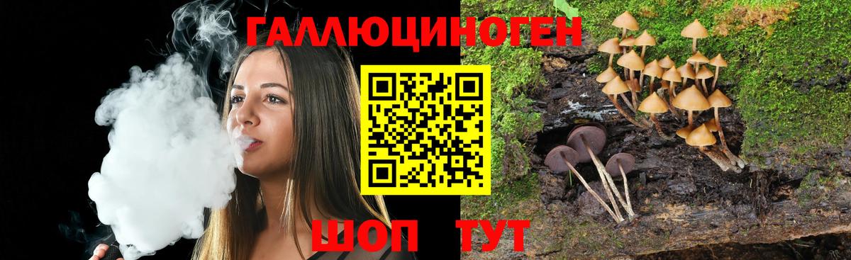 Галлюциногенные грибы MAGIC MUSHROOMS Раменское