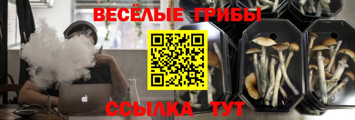 Гашиш Раменское